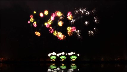 Sparkling Han River night - Pháo hoa máy tính 2011