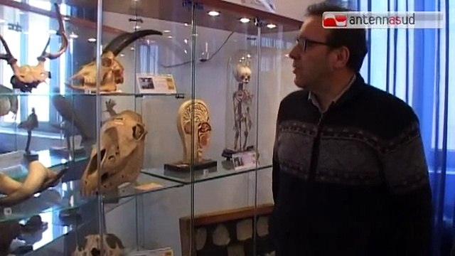 TG 05.02.15 Viaggio nel liceo più antico di Puglia: il liceo classico Flacco di Bari