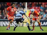 Online Rugby Cardiff Blues vs Leicester Tigers