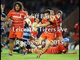 Live Rugby Stream Cardiff Blues vs Leicester Tigers