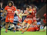Live Rugby Streaming Cardiff Blues vs Leicester Tigers Here