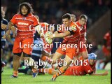 Watch Cardiff Blues vs Leicester Tigers Live Rugby