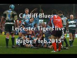 Six Nations Cardiff Blues vs Leicester Tigers Live Streaming