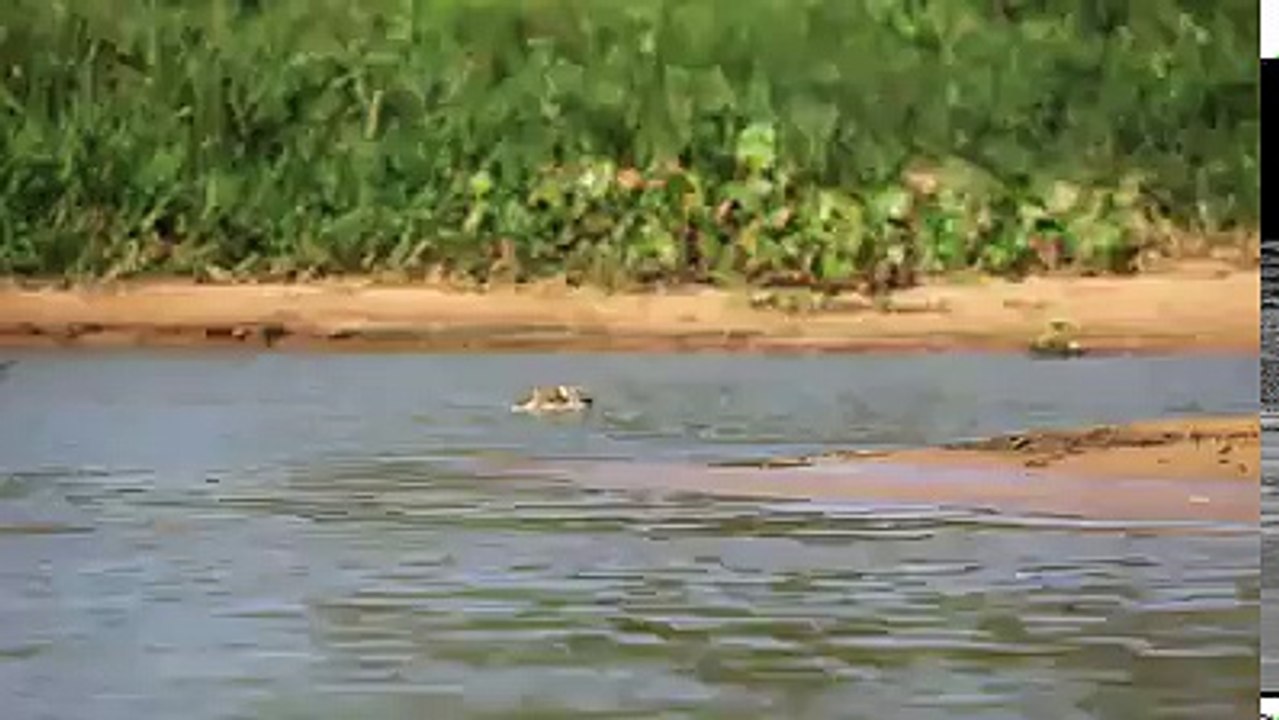 An Amazing Caught on Camera Act Of Nature