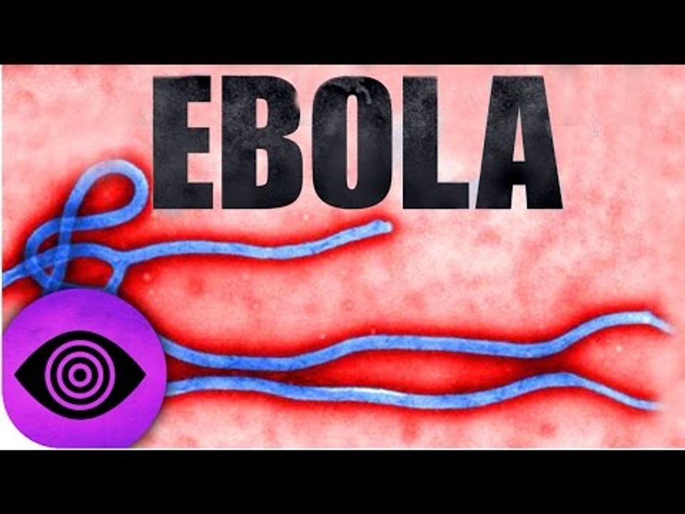 Czy ebola została stworzona przez człowieka?