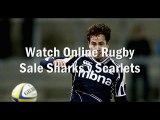 watch Sale Sharks vs Scarlets live rugby match