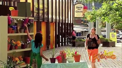 Disappearing Flower Pot - Just Kidding