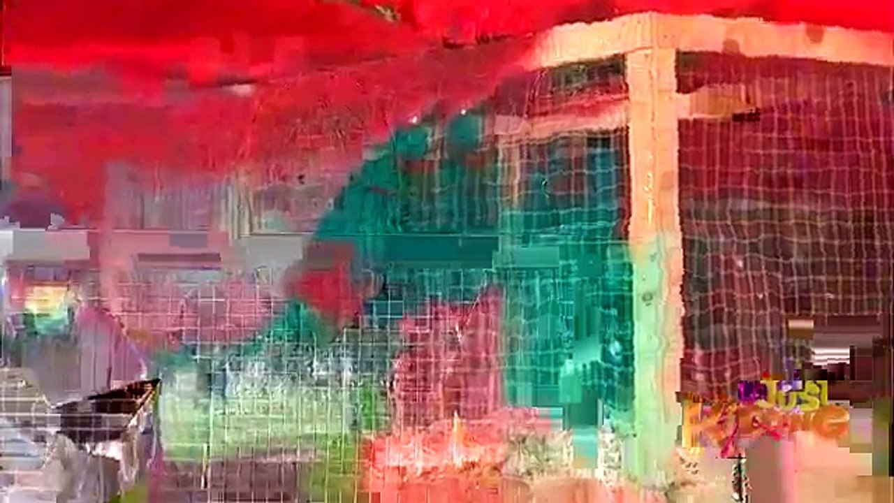 Dramatic Squirrel Prank- Just Kidding