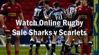 watch Sale Sharks vs Scarlets 7 feb 2015 online stream