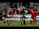 watch rugby Sale Sharks vs Scarlets 7 feb 2015 live stream