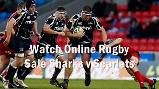 see Sale Sharks vs Scarlets online