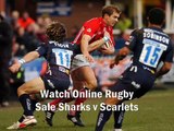 live Sale Sharks vs Scarlets stream online