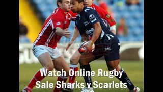 watch Sale Sharks vs Scarlets stream live online