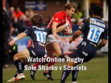 watch Sale Sharks vs Scarlets online rugby match