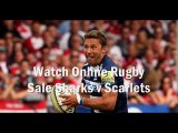 2015 Sale Sharks vs Scarlets live rugby match