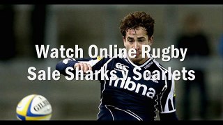 watch Sale Sharks vs Scarlets online rugby 2015