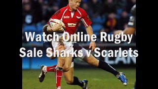 2015 1st match Sale Sharks vs Scarlets live