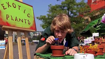 Little Shop of Horrors Plant Prank - Just Kidding