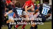 watch Sale Sharks vs Scarlets Anglo-Welsh Cup rugby live stream