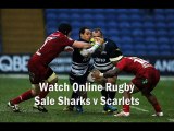 watch Sale Sharks vs Scarlets live rugby
