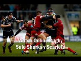 Sale Sharks vs Scarlets 7 feb 2015