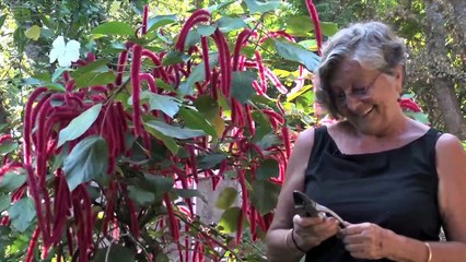 Auroville, Vers une Ecologie Spirituelle