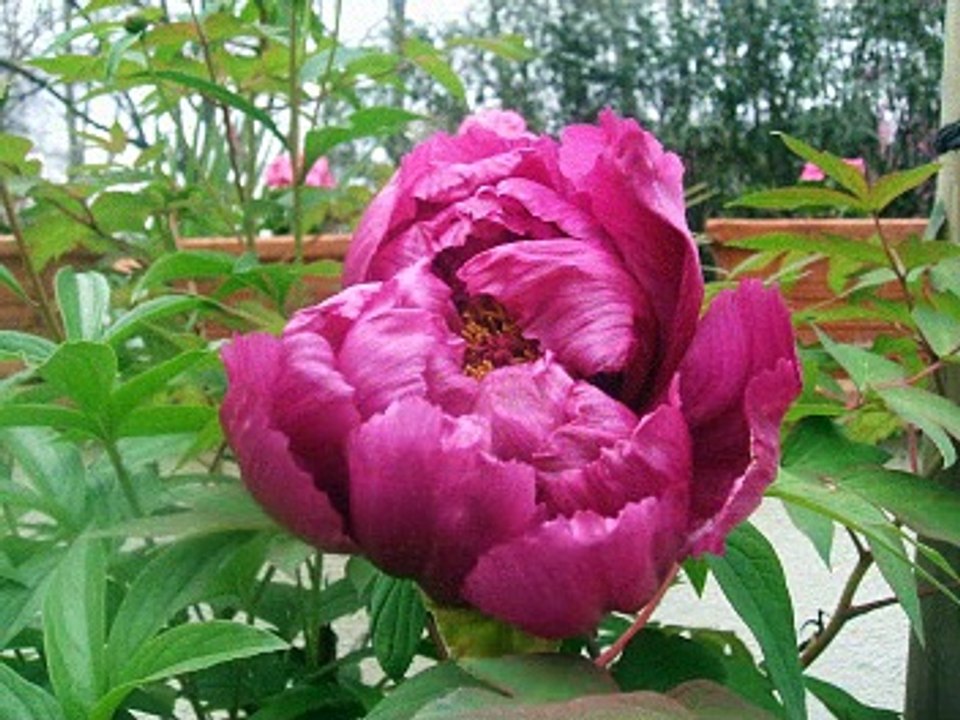 Patrick BORG "MIEUX QU'ICI" Terminé le Dim  1er Fév  2015 08h24