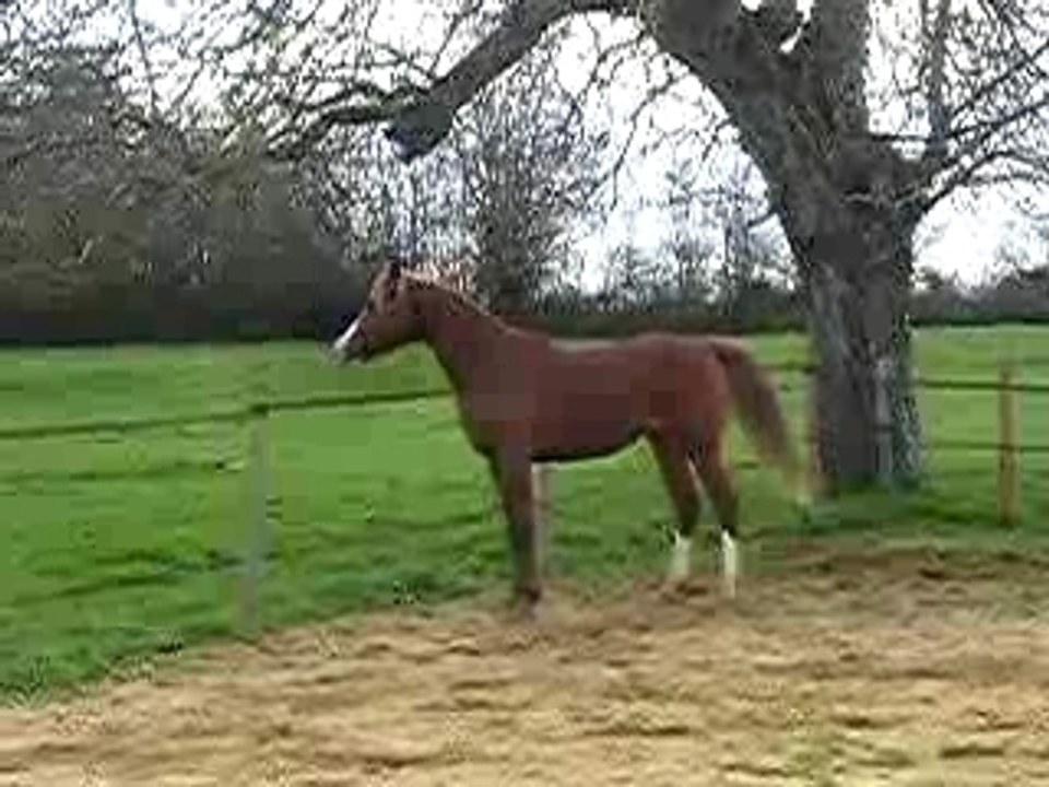 VIdéo Amghar2
