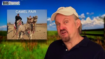 CAMEL MATING WITH HORSE