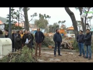 Video herunterladen: Napoli - Edenlandia, stop ai lavori. Visita della Commissione Ambiente -2- (05.02.15)