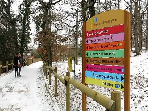 Safari de Peaugres : les animaux pressés de retrouver leurs visiteurs