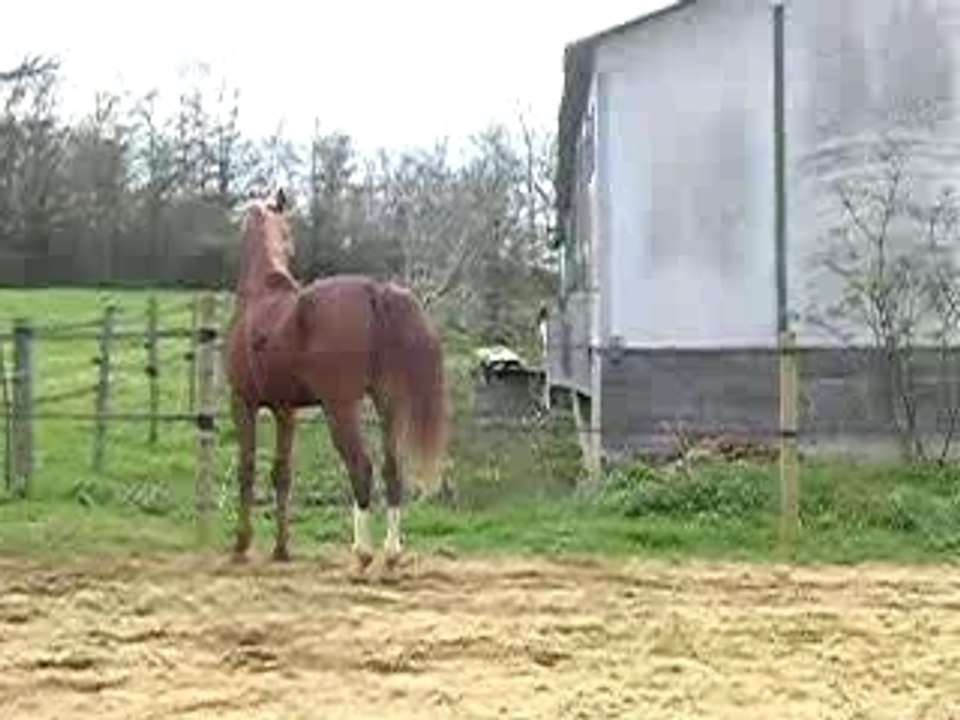 Vidéo Amghar 3