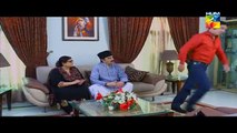 Joru Ka Ghulam Episode 17 Full Hum TV Drama - 6 Feb 2015