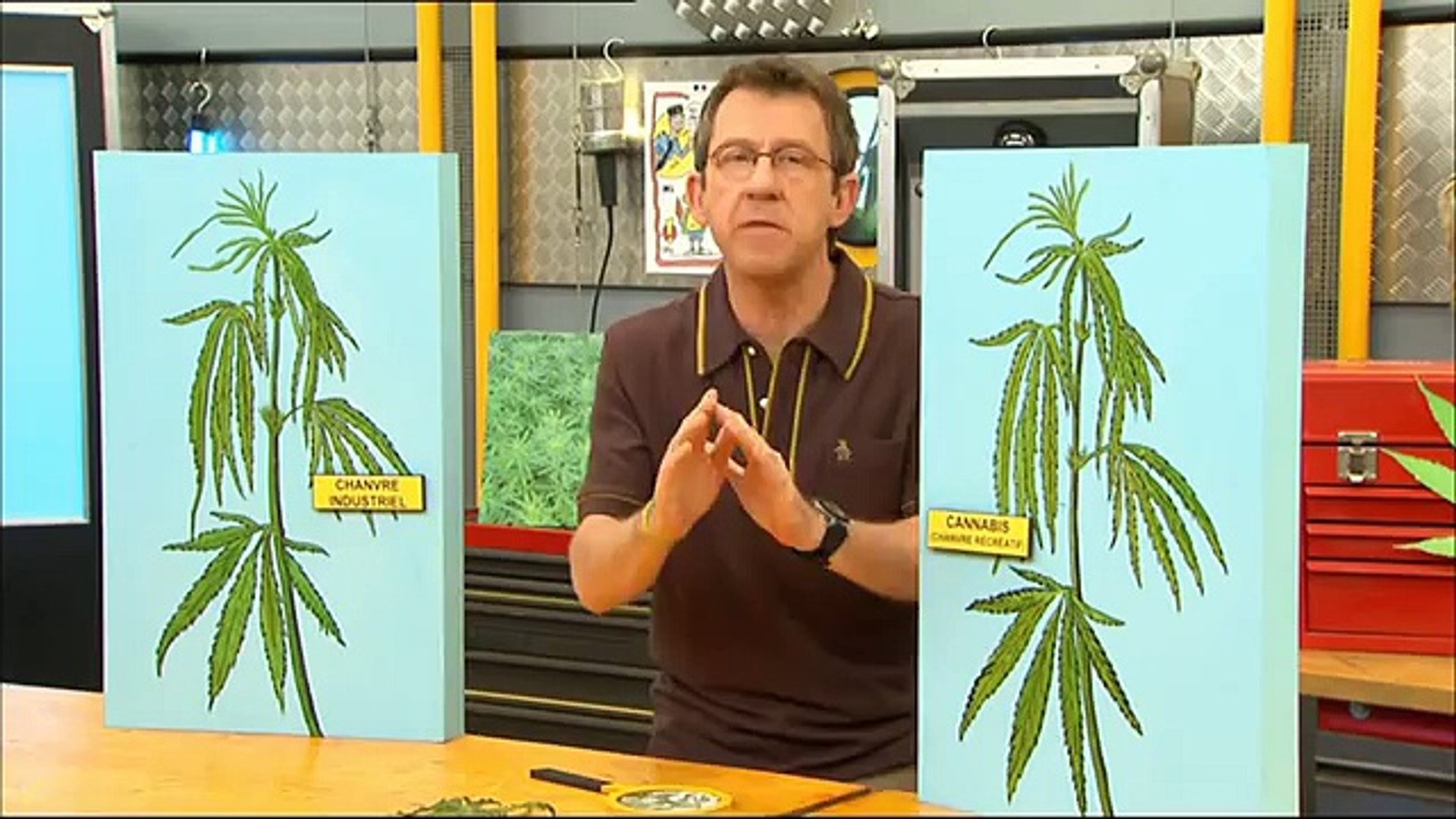 C'est pas sorcier : Le cannabis - Vidéo Dailymotion