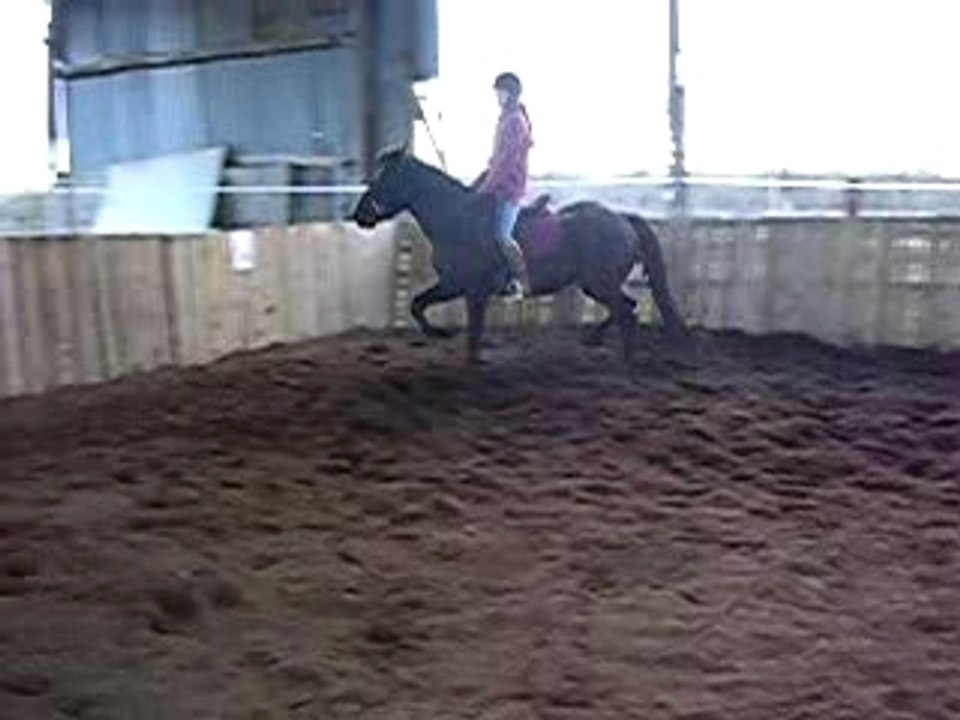 Vidéo débourrage2