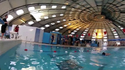 Téléthon 2014 50m Dos Filles