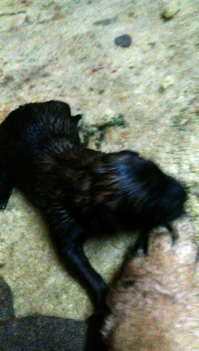 Be Aware H's @ First Steps!