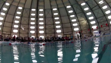 Téléthon 2014 50m Dos Garçons (3)