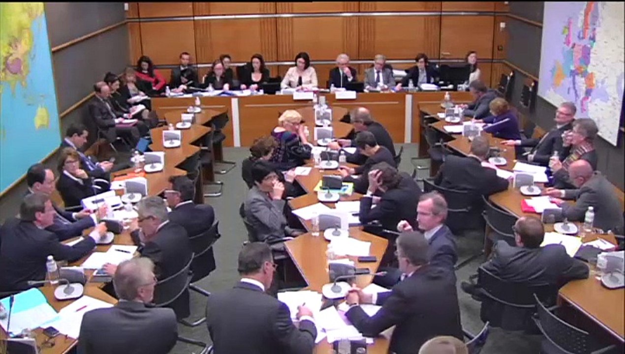 03.02.2015: Commission du Développement Durable - Audition de Sylvia Pinel, MinistreMinistre Du Logement, De L'Egalité Des Territoires et De La Ruralité