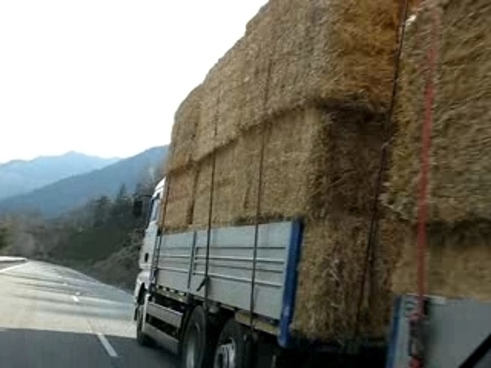 camion
