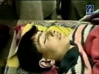 Allah Kab in bharti kuton ka katna band ho ga