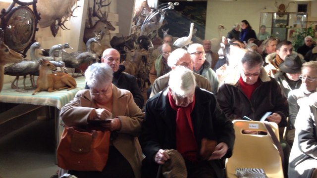 Enchères atypiques à L'hôtel des ventes
