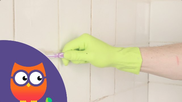 Comment nettoyer les joints de carrelage (Ooreka.fr)
