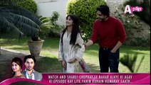 Chupkay Se Bahar Ajaye Episode 17 By Aplus 6 February 2015 New Full Episode