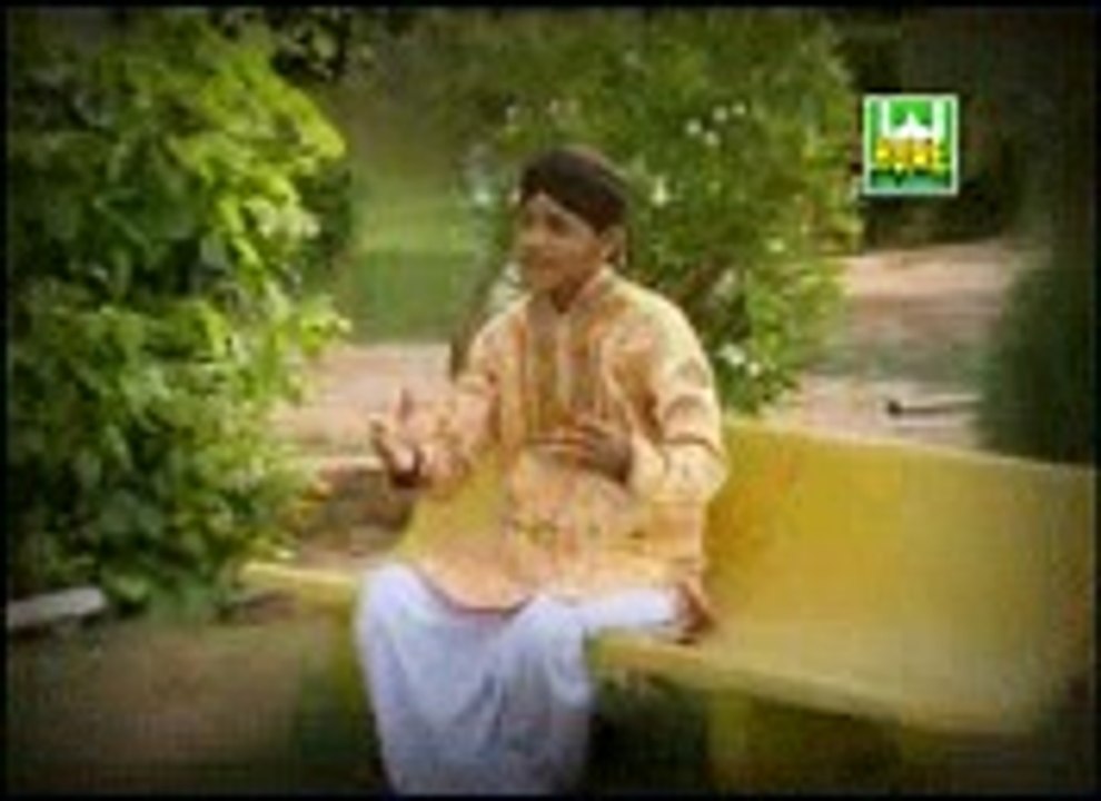 maa