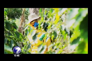 Agricultores se unen a novedoso proyecto de reciclaje y le dan la mano al ambiente