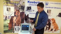 Most affordable Equine,Horse ultrasound KX2600- Only $1999