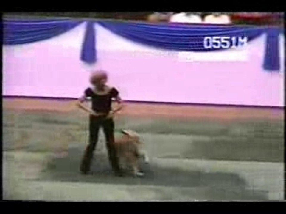 Elle assure mamie et son chien  !!!