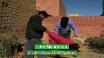 11-year-old Bullfighter