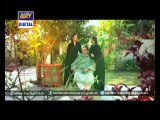 The evil sister in 'Dil-e-Barbad' - ARY Digital